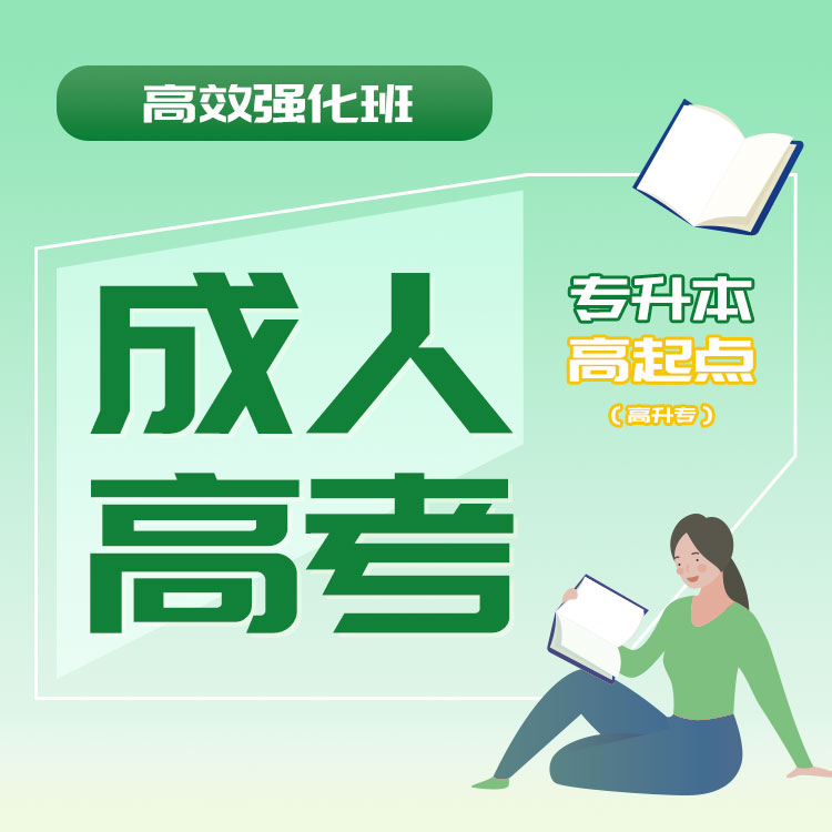 2026年成人高考高效强化班