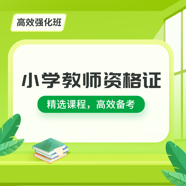 2027小学教师资格高效强化班