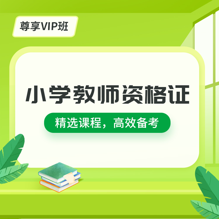 2027小学教师资格尊享VIP班