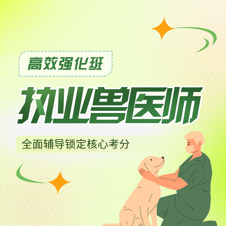 2027年执业兽医师高效强化班